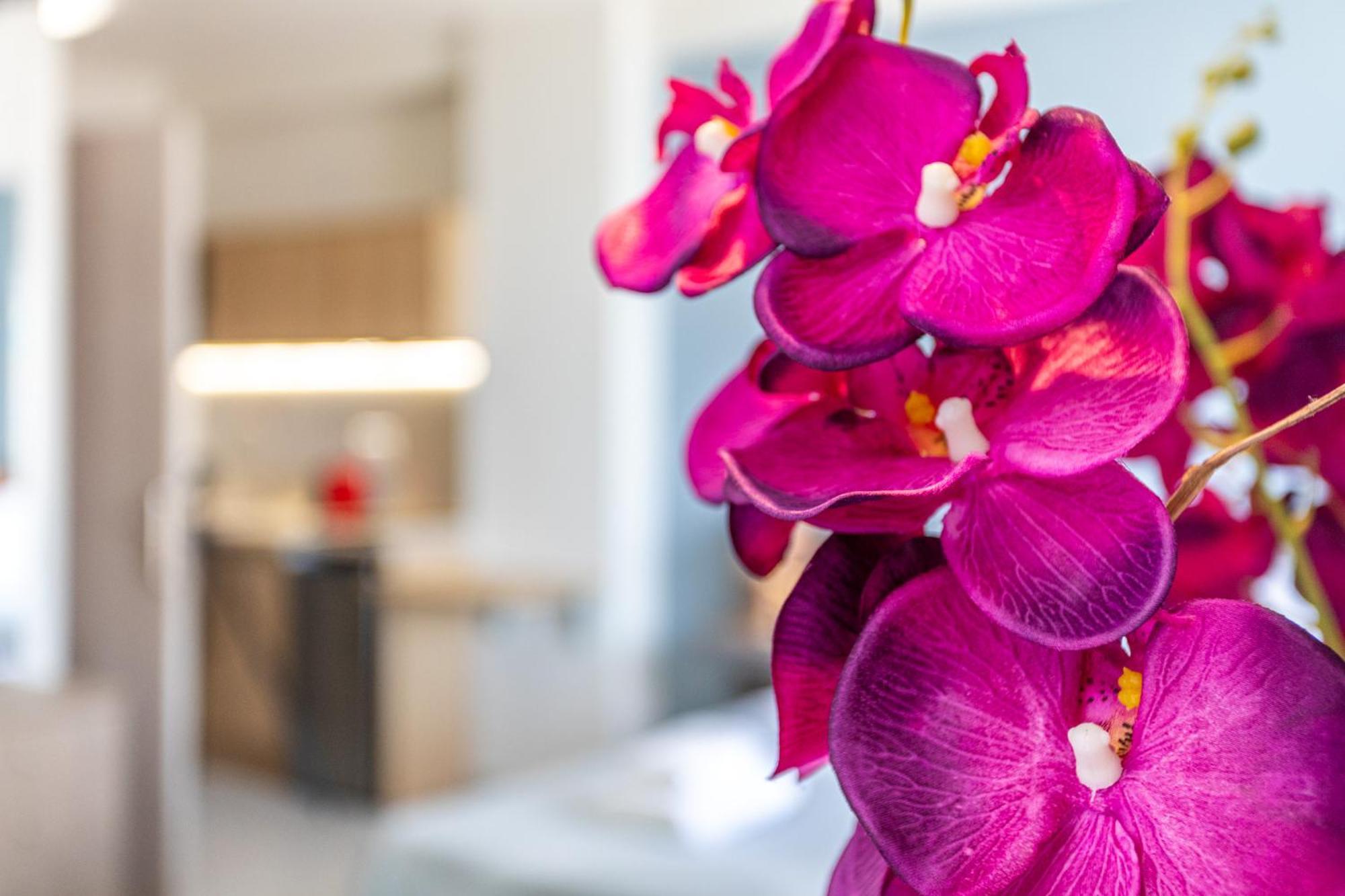 Marina Aparthotel Kardamíli Kültér fotó